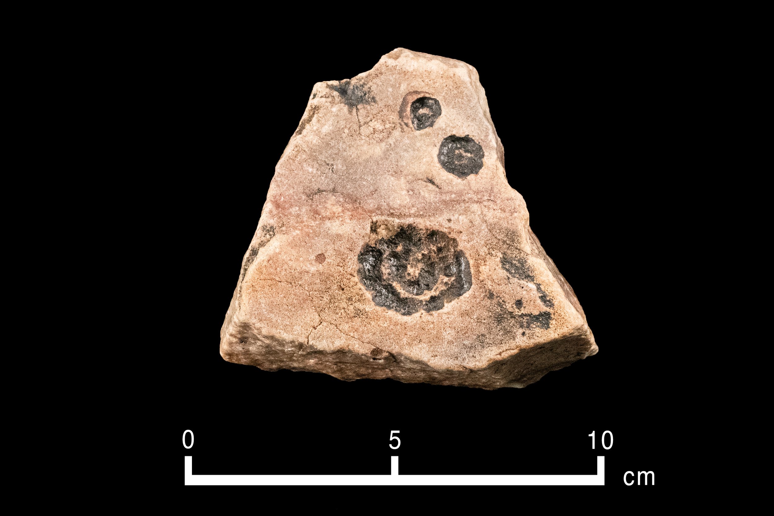 Browse Ediacaran — Geoscience Research Institute